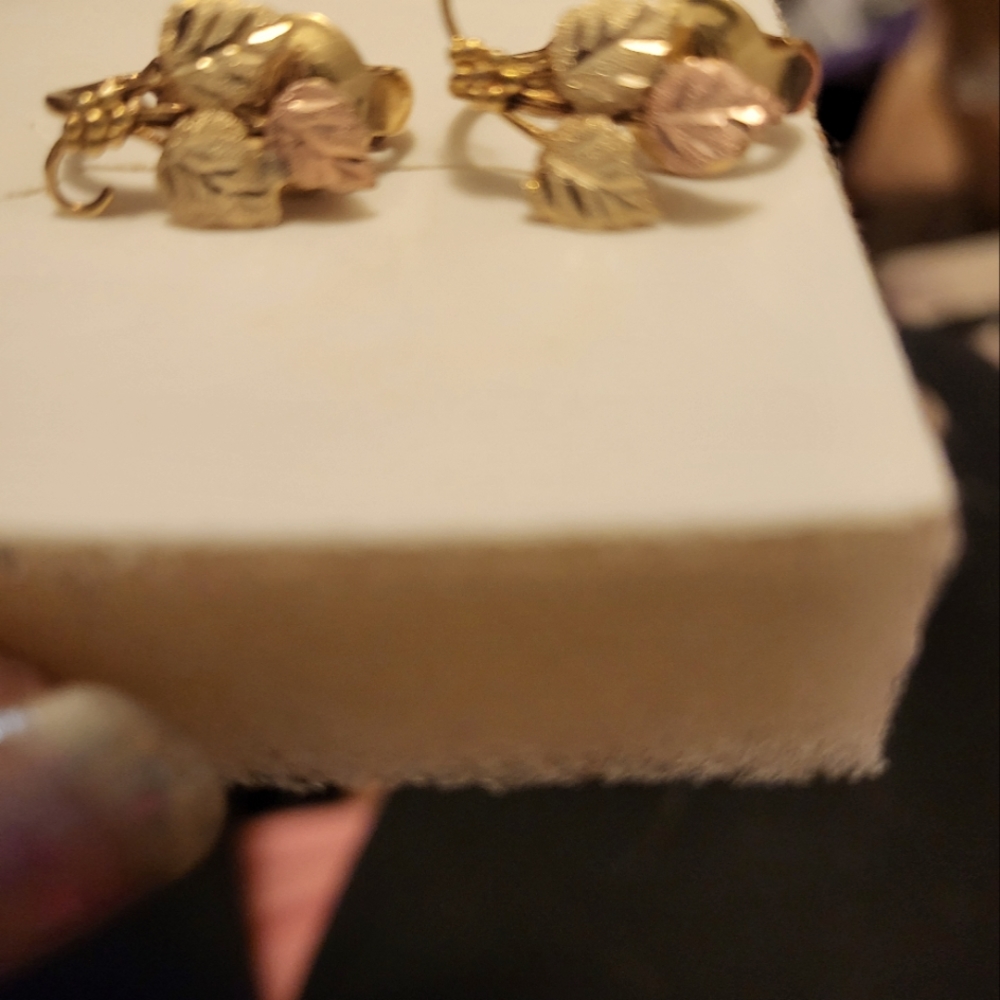 10k gold filled clip earrings